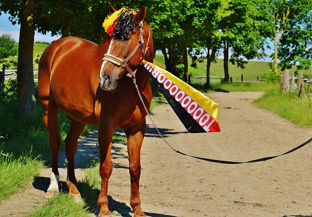 刻的稳定输 刻的稳定输
