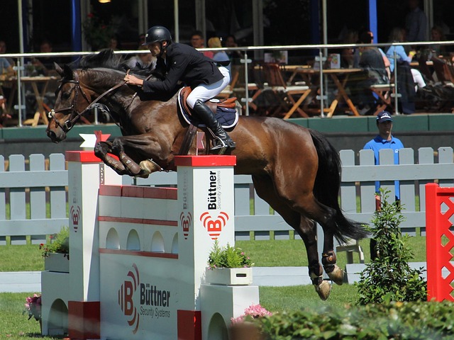 终战局产生 终战局产生