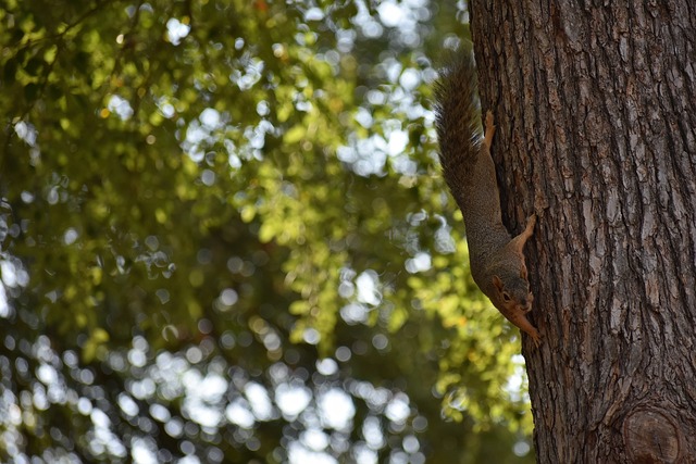 更加亲民 更加亲民