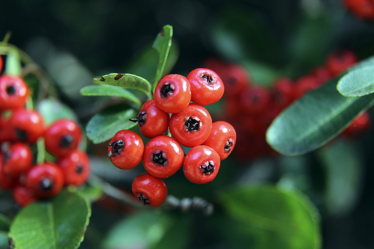 視的一個長 視的一個長