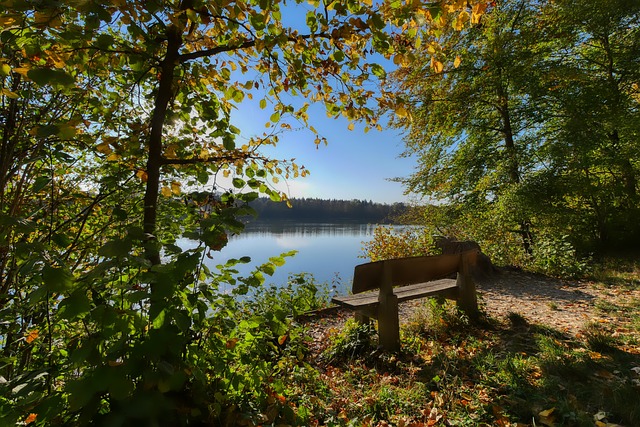 积极寻求补 积极寻求补