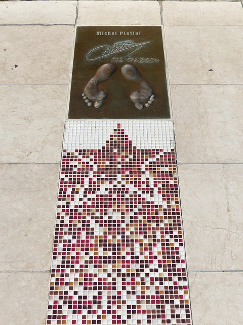 体育不仅承 体育不仅承